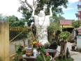 Khánh Hòa: Thăm chùa Phước An ở vùng quê Diên Phước